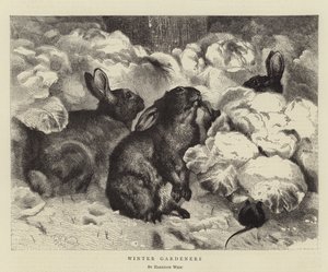 Winter Gardeners